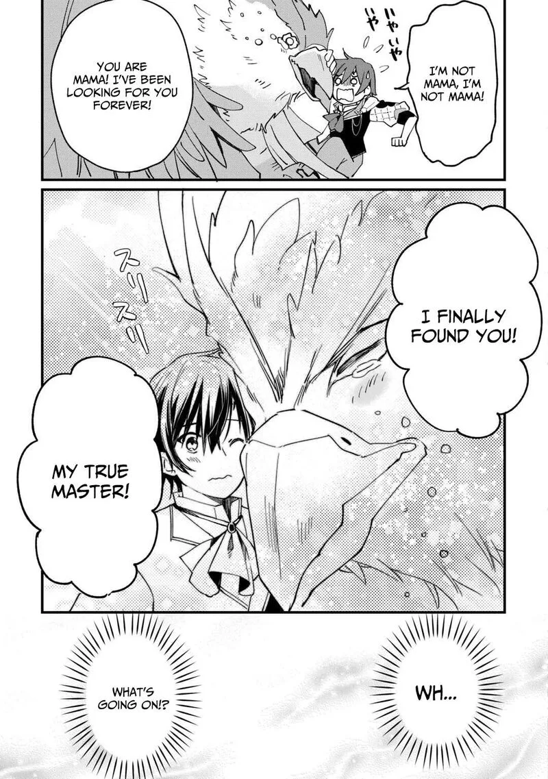 Tokage (Hontou wa Shinryuu) wo Shoukan Shita Seijuu Tsukai, Ryuu no Senaka de Kaitaku Life Chapter 15 page 16