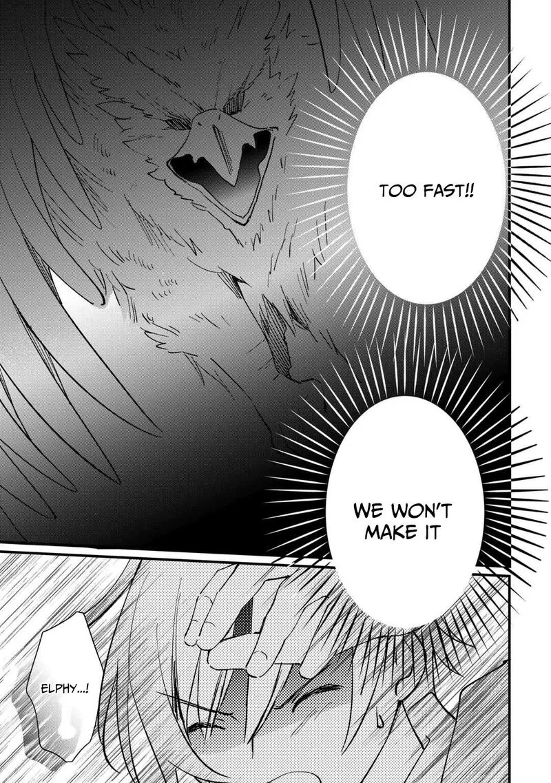 Tokage (Hontou wa Shinryuu) wo Shoukan Shita Seijuu Tsukai, Ryuu no Senaka de Kaitaku Life Chapter 15 page 13