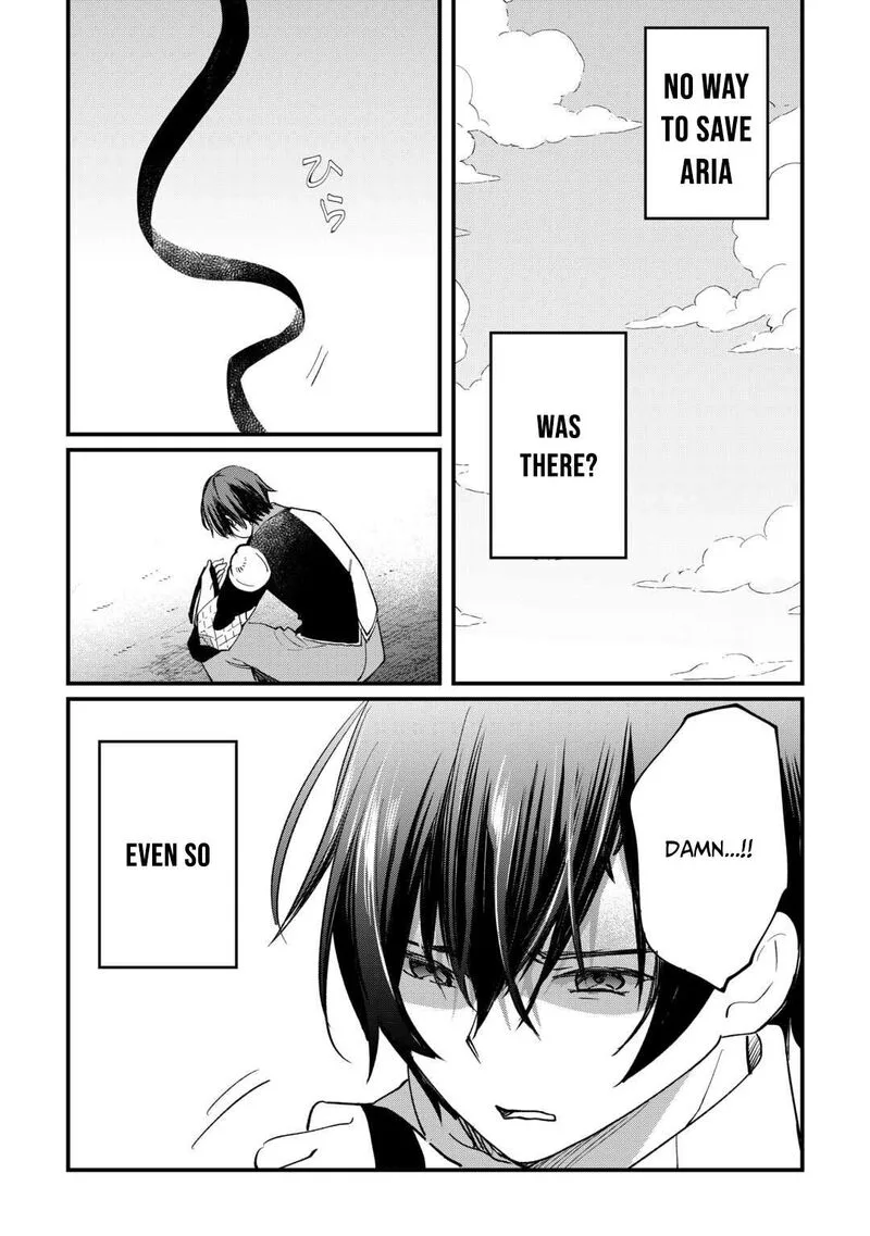 Tokage (Hontou wa Shinryuu) wo Shoukan Shita Seijuu Tsukai, Ryuu no Senaka de Kaitaku Life Chapter 17 page 15