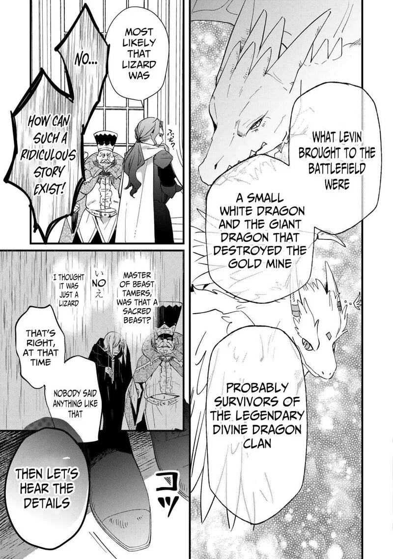Tokage (Hontou wa Shinryuu) wo Shoukan Shita Seijuu Tsukai, Ryuu no Senaka de Kaitaku Life Chapter 17 page 22