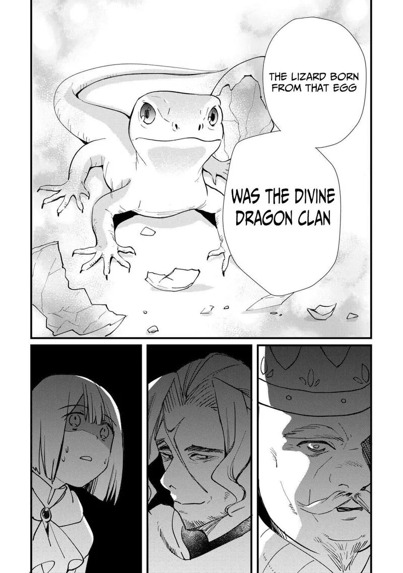 Tokage (Hontou wa Shinryuu) wo Shoukan Shita Seijuu Tsukai, Ryuu no Senaka de Kaitaku Life Chapter 18 page 7