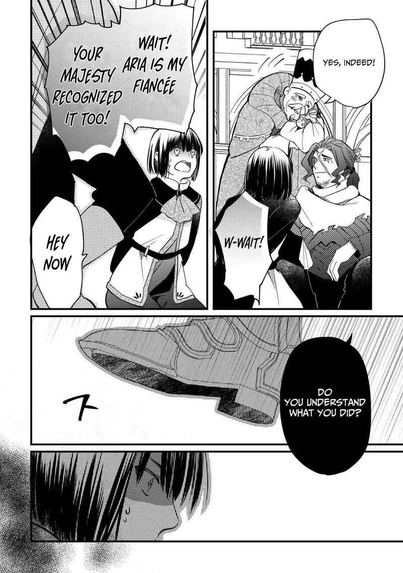 Tokage (Hontou wa Shinryuu) wo Shoukan Shita Seijuu Tsukai, Ryuu no Senaka de Kaitaku Life Chapter 19 page 23