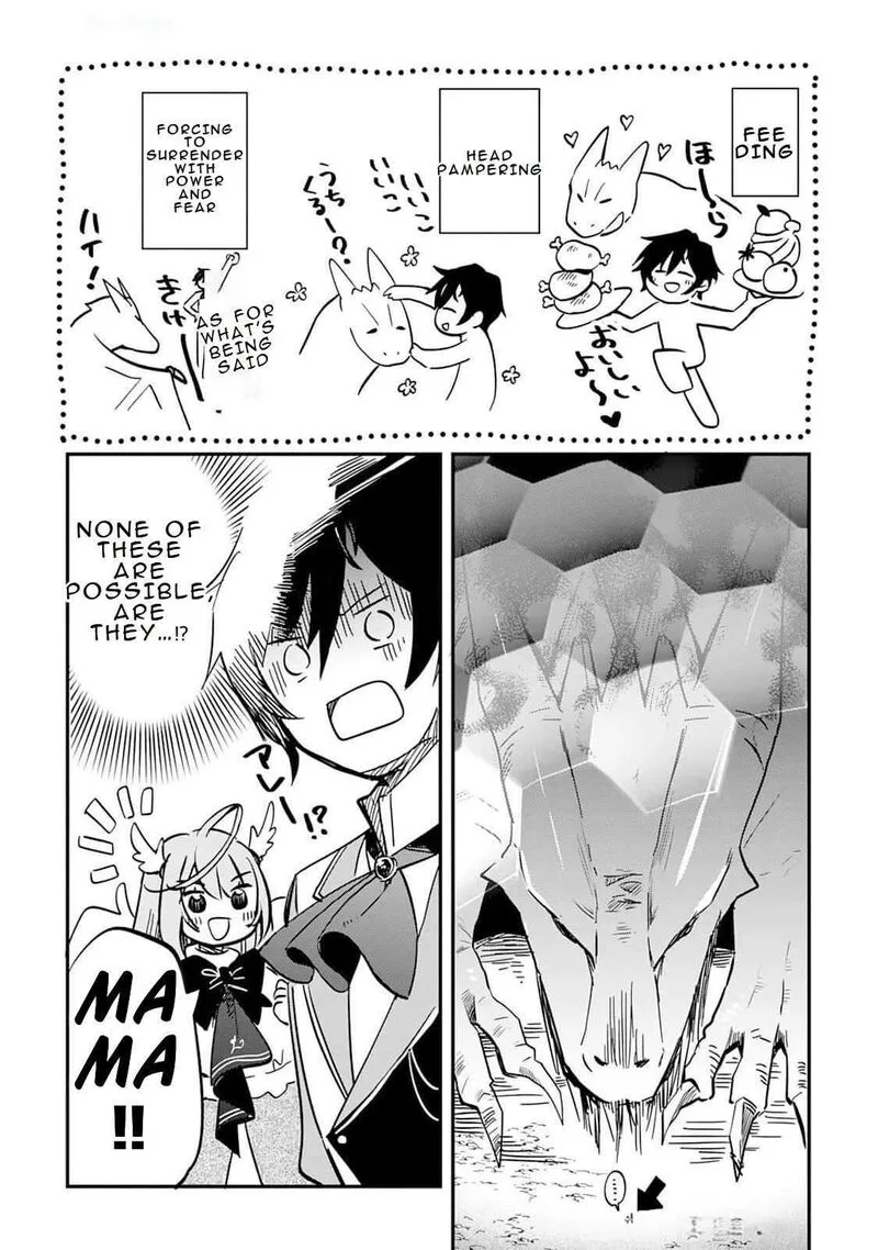 Tokage (Hontou wa Shinryuu) wo Shoukan Shita Seijuu Tsukai, Ryuu no Senaka de Kaitaku Life Chapter 2 page 6