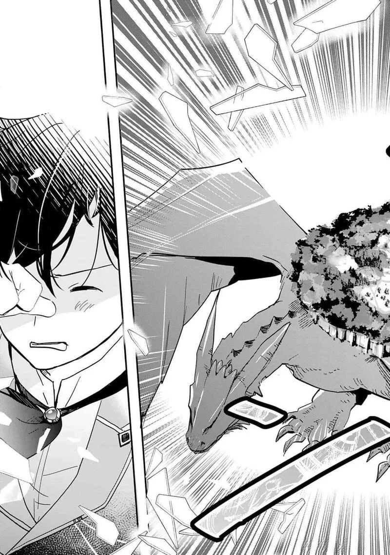 Tokage (Hontou wa Shinryuu) wo Shoukan Shita Seijuu Tsukai, Ryuu no Senaka de Kaitaku Life Chapter 2 page 11