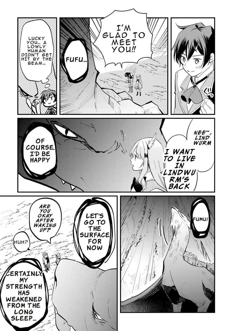 Tokage (Hontou wa Shinryuu) wo Shoukan Shita Seijuu Tsukai, Ryuu no Senaka de Kaitaku Life Chapter 2 page 17