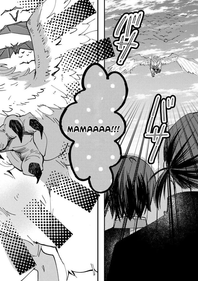 Tokage (Hontou wa Shinryuu) wo Shoukan Shita Seijuu Tsukai, Ryuu no Senaka de Kaitaku Life Chapter 21 page 2