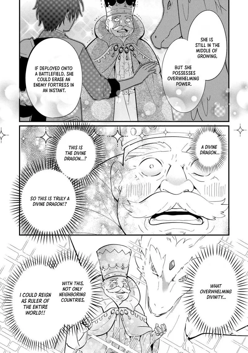 Tokage (Hontou wa Shinryuu) wo Shoukan Shita Seijuu Tsukai, Ryuu no Senaka de Kaitaku Life Chapter 26 page 8