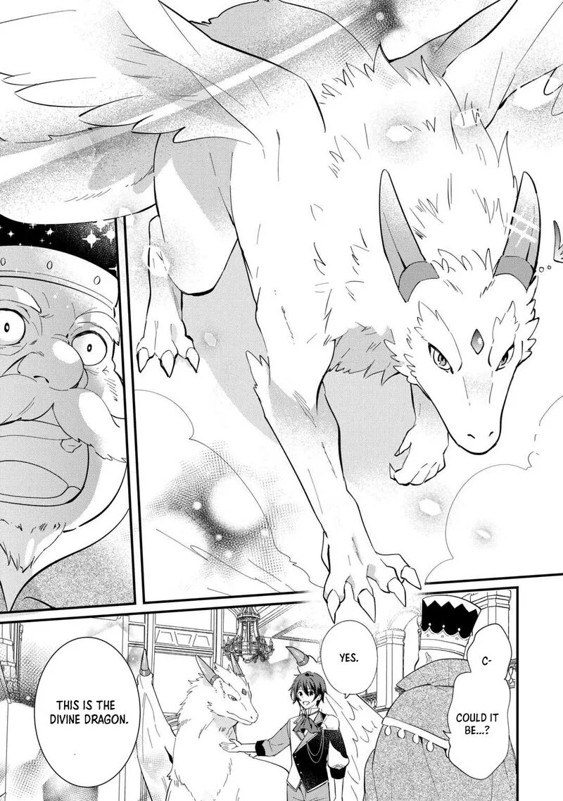 Tokage (Hontou wa Shinryuu) wo Shoukan Shita Seijuu Tsukai, Ryuu no Senaka de Kaitaku Life Chapter 26 page 7