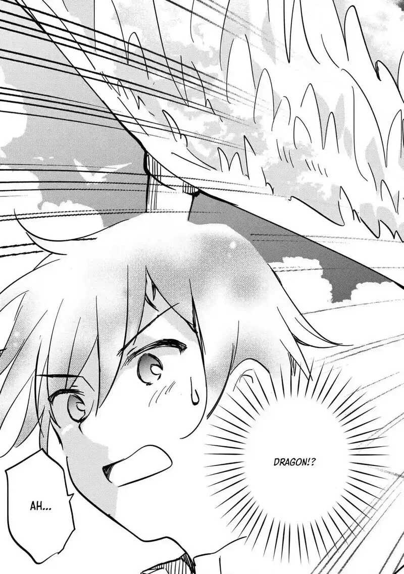 Tokage (Hontou wa Shinryuu) wo Shoukan Shita Seijuu Tsukai, Ryuu no Senaka de Kaitaku Life Chapter 5 page 11
