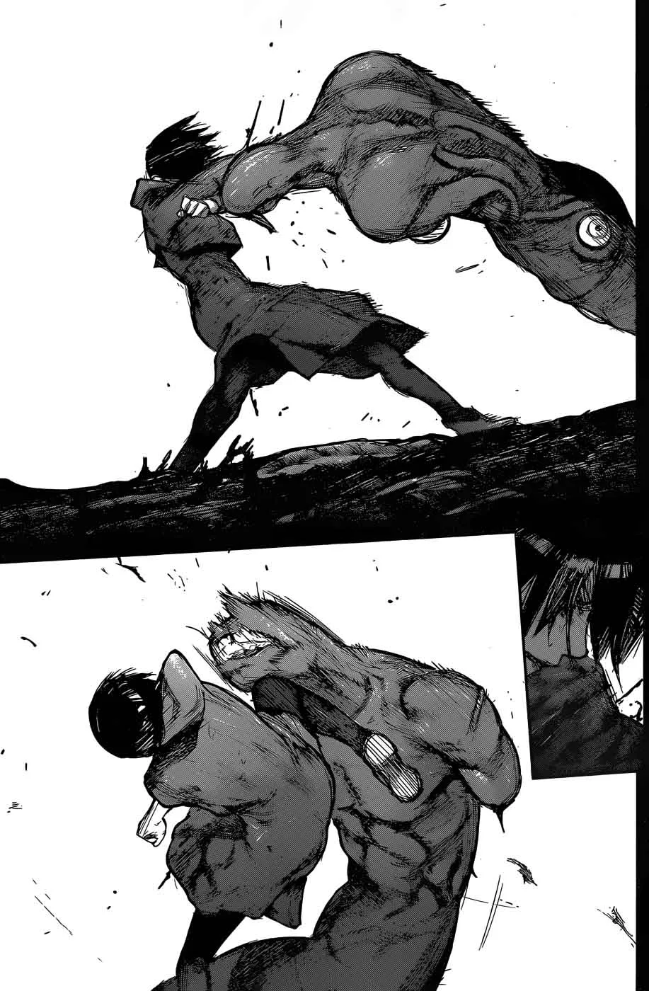 Tokyo Ghoul:re Chapter 160 page 13