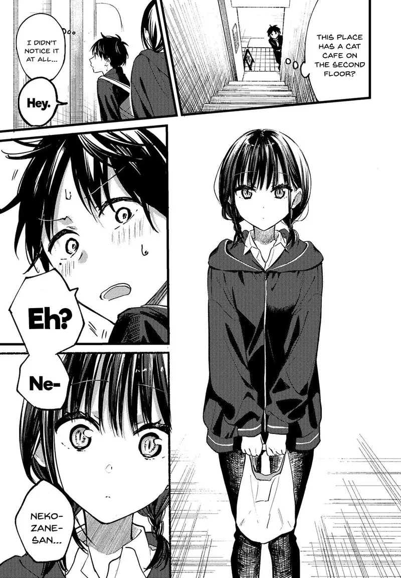 Tonari no Neko to Koi Shirazu Chapter 1 page 17