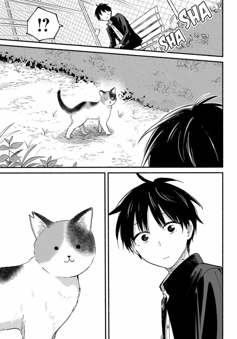 Tonari no Neko to Koi Shirazu Chapter 14 page 17
