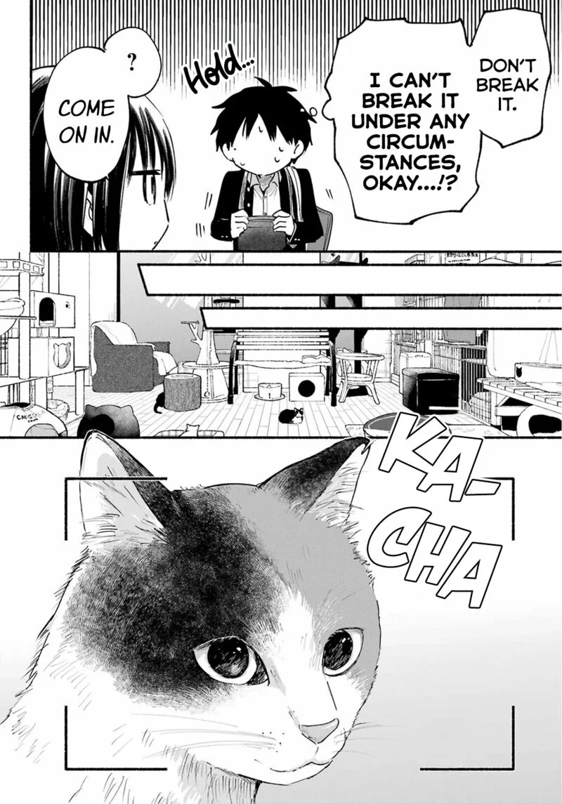 Tonari no Neko to Koi Shirazu Chapter 15 page 10