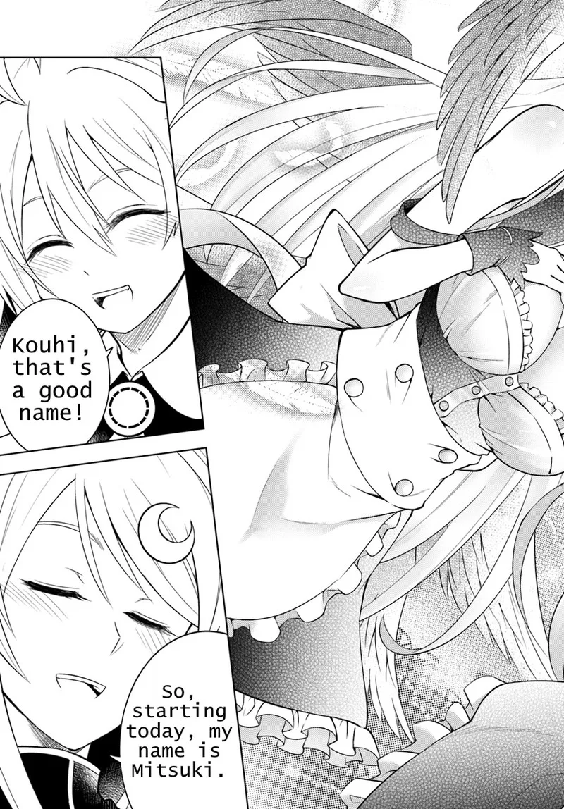 Tou no Kanri o Shite Miyou Chapter 1 page 27