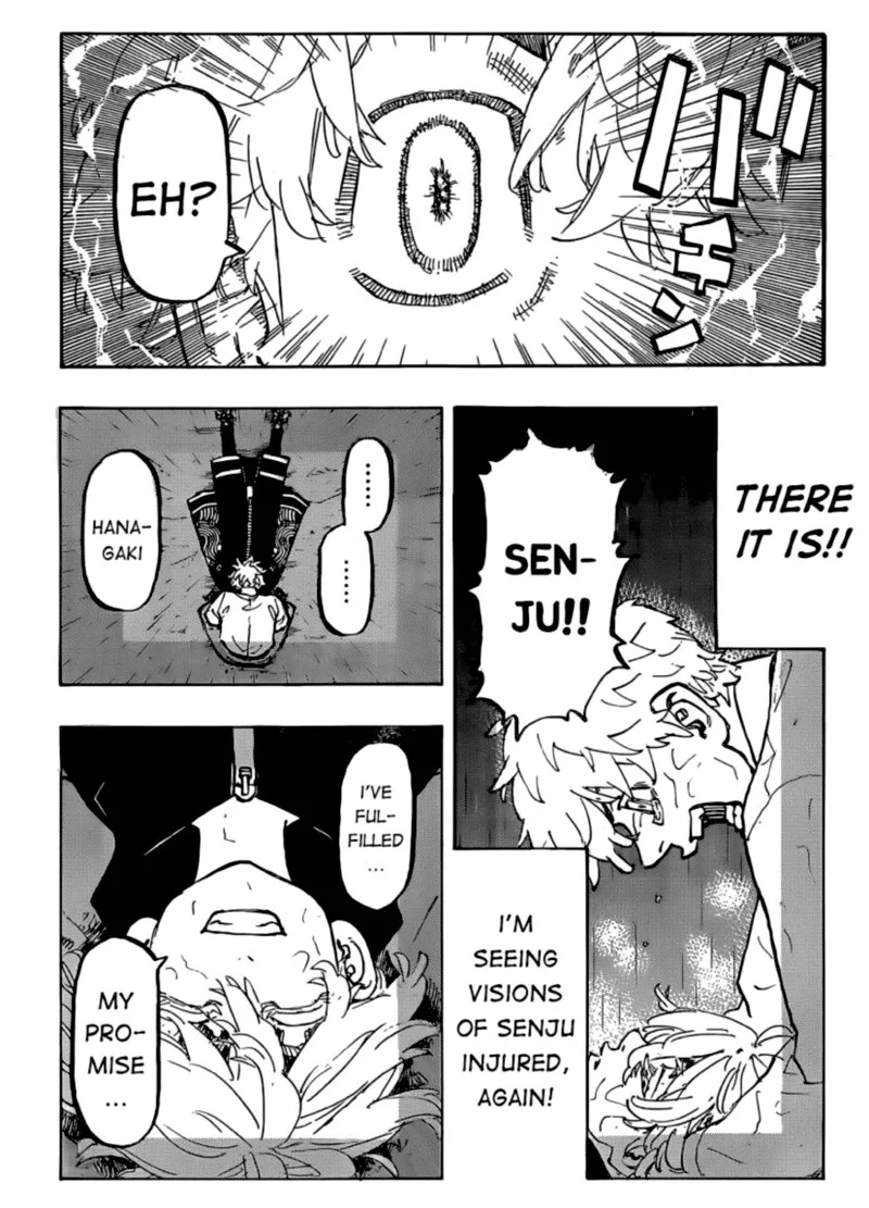 Toukyou Revengers Chapter 219 page 15