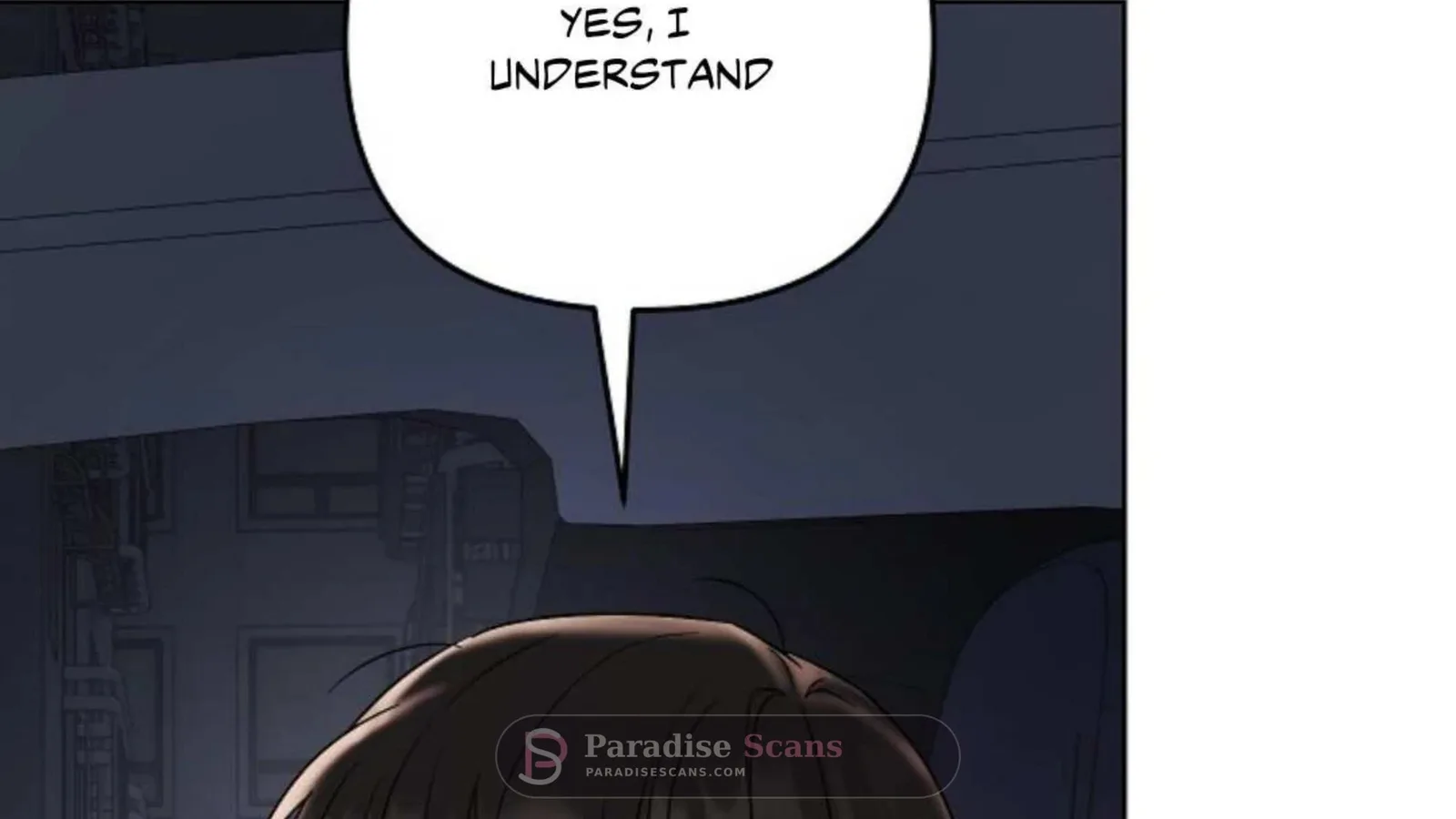 Triangle Chapter 4 page 207
