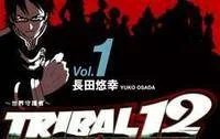 Tribal 12 cover