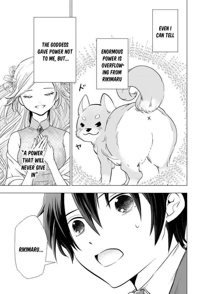 Uchi no Inu ga Tsuyosugirun desu ga? - Tensei Shitara Megami-sama no Shukufuku de Sekai wo Sukuu Koto ni narimashita Chapter 2 page 11