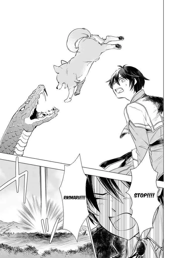 Uchi no Inu ga Tsuyosugirun desu ga? - Tensei Shitara Megami-sama no Shukufuku de Sekai wo Sukuu Koto ni narimashita Chapter 2 page 7