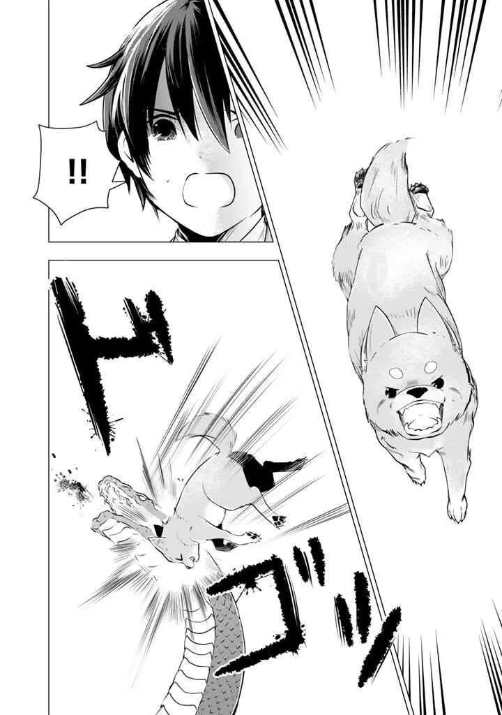 Uchi no Inu ga Tsuyosugirun desu ga? - Tensei Shitara Megami-sama no Shukufuku de Sekai wo Sukuu Koto ni narimashita Chapter 2 page 8