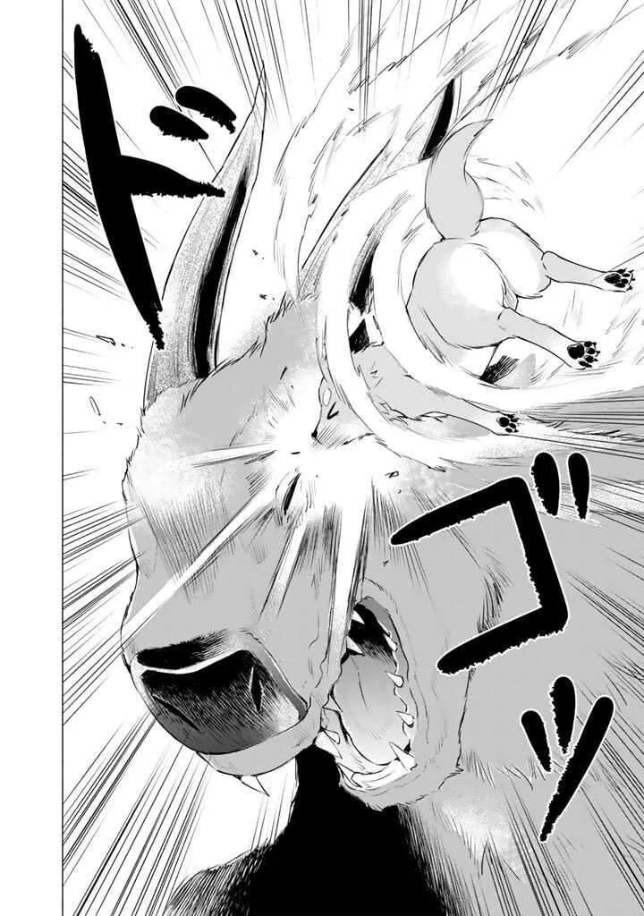 Uchi no Inu ga Tsuyosugirun desu ga? - Tensei Shitara Megami-sama no Shukufuku de Sekai wo Sukuu Koto ni narimashita Chapter 3 page 2