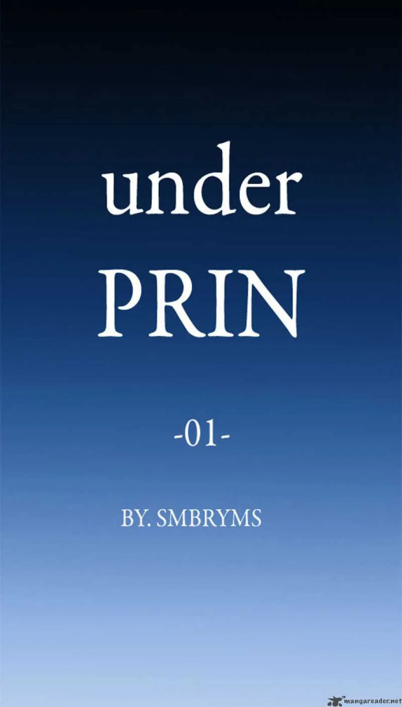 under PRIN Chapter 1 page 10