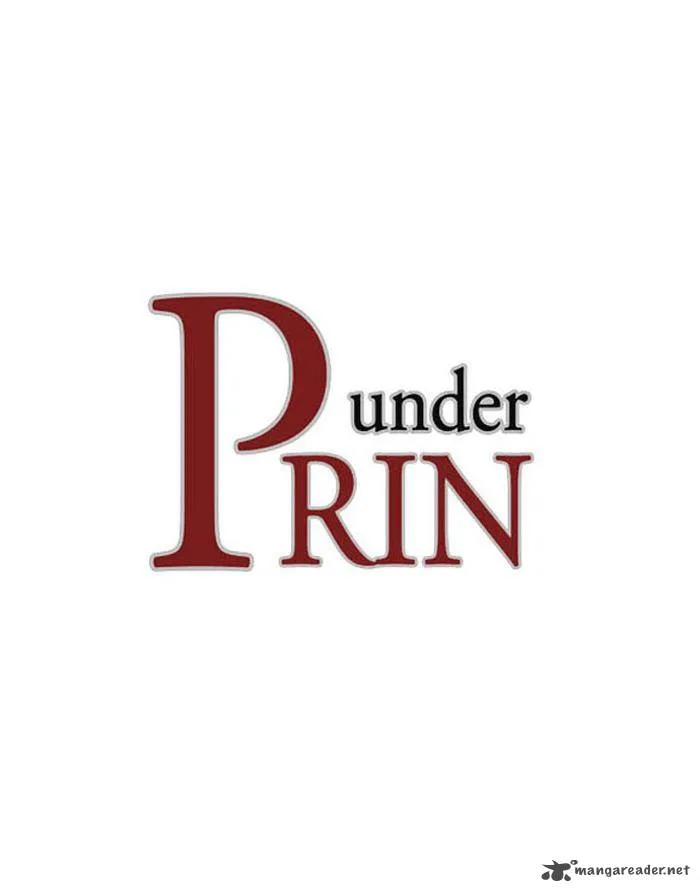 under PRIN Chapter 132 page 1
