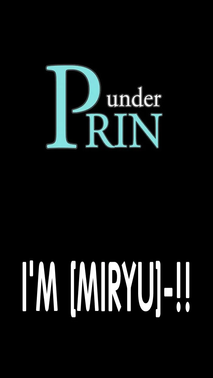 under PRIN Chapter 133 page 1