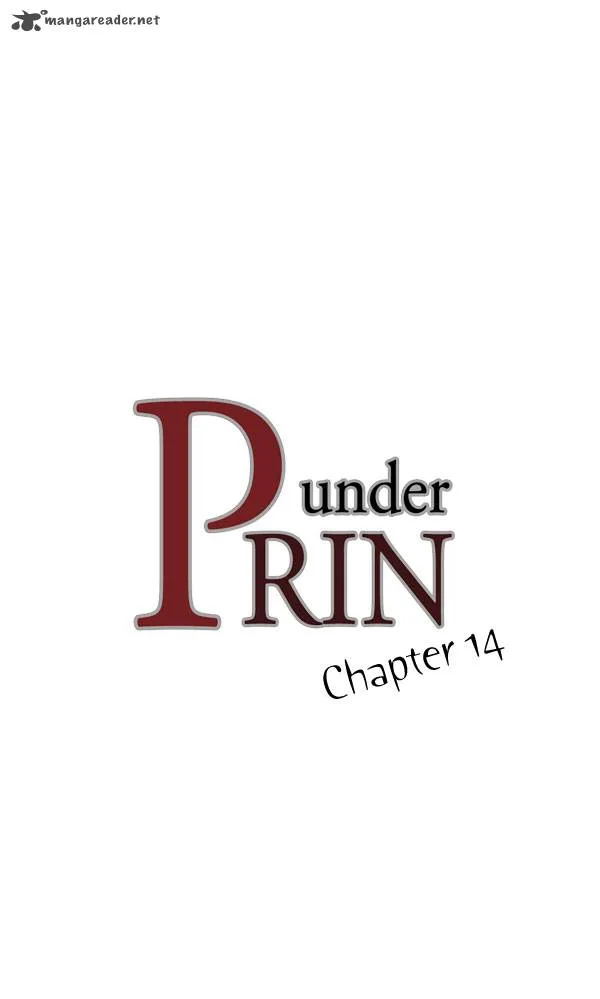 under PRIN Chapter 14 page 3