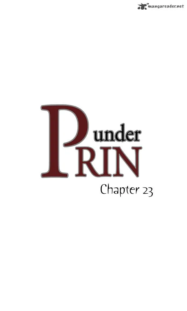under PRIN Chapter 23 page 5