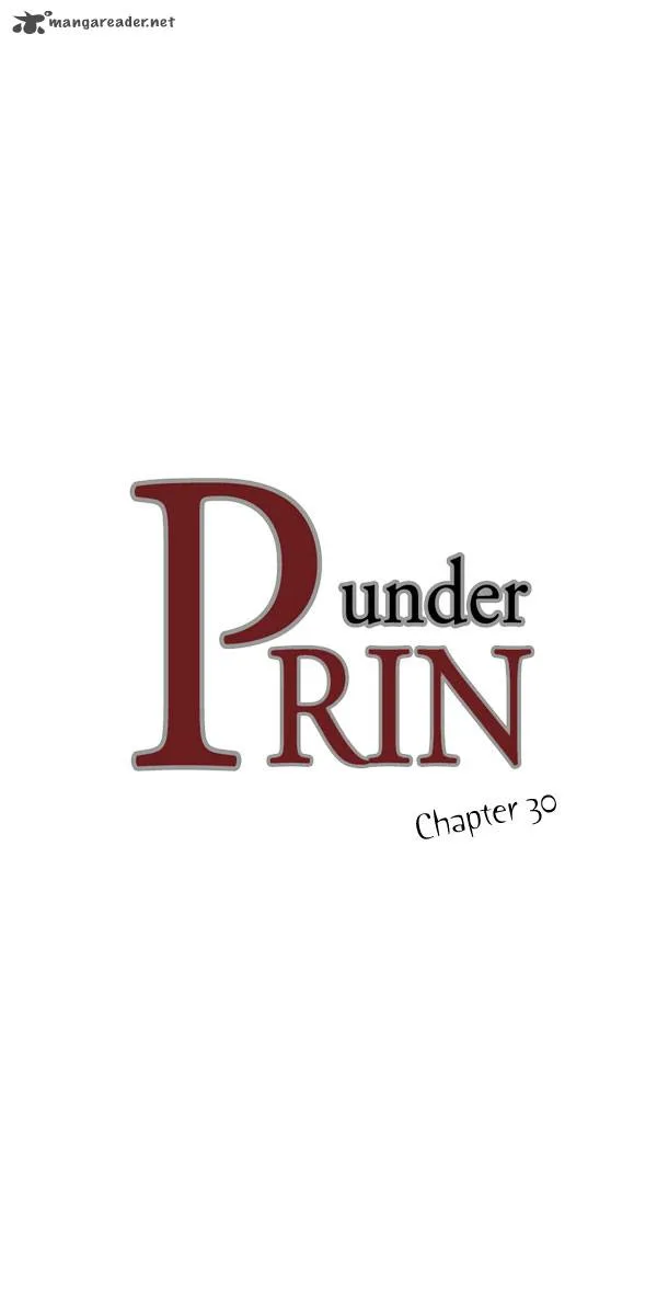 under PRIN Chapter 30 page 2