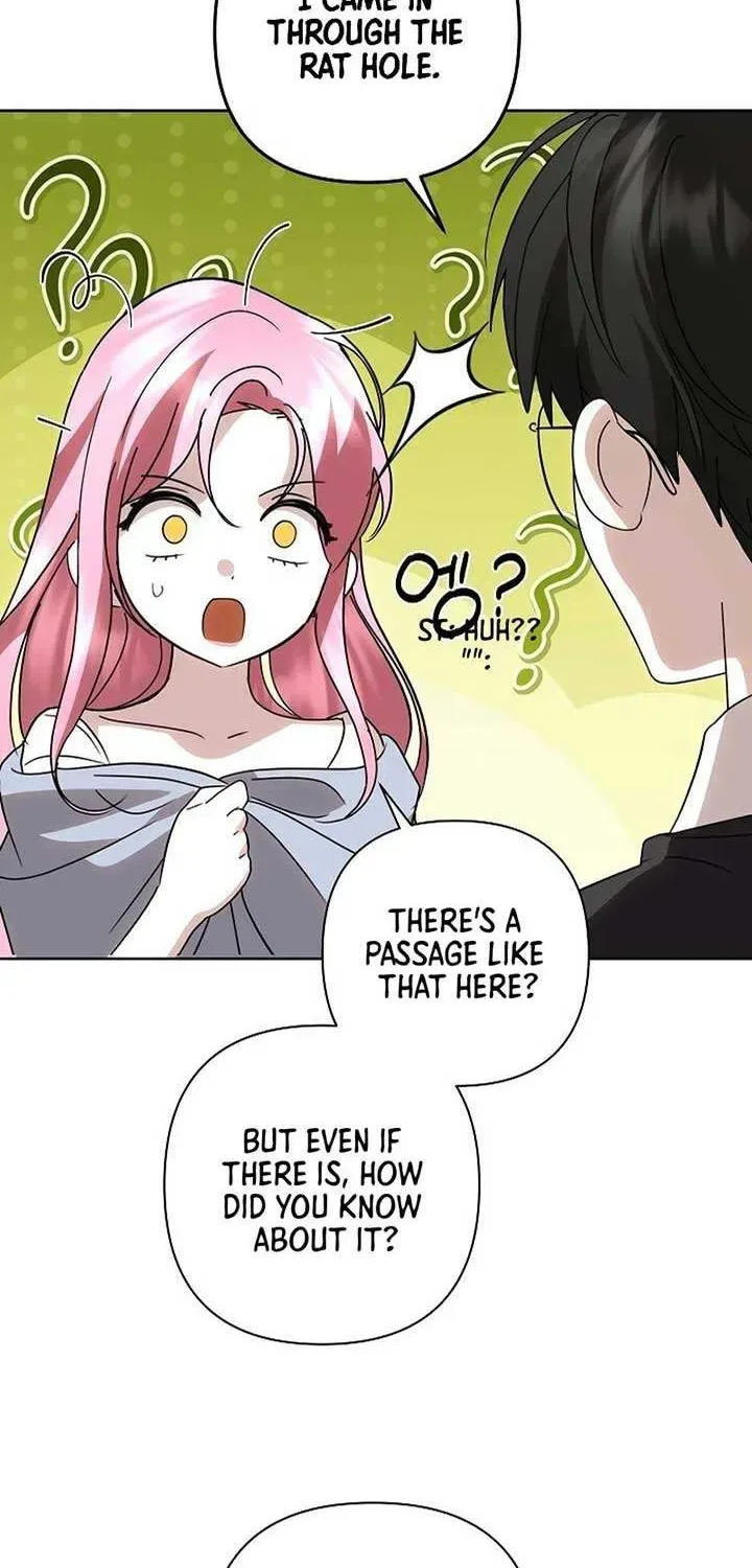 Undercover Princess Chapter 49 page 6