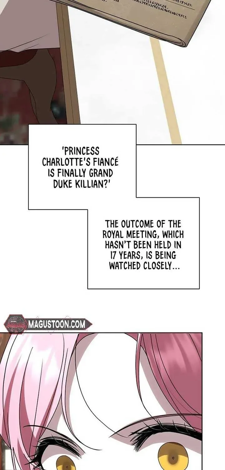 Undercover Princess Chapter 49 page 26