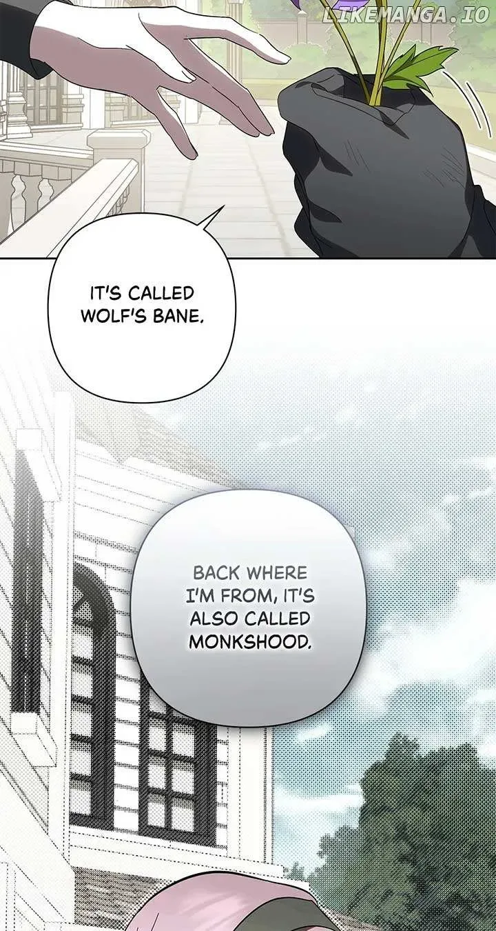 Undercover Princess Chapter 56 page 88