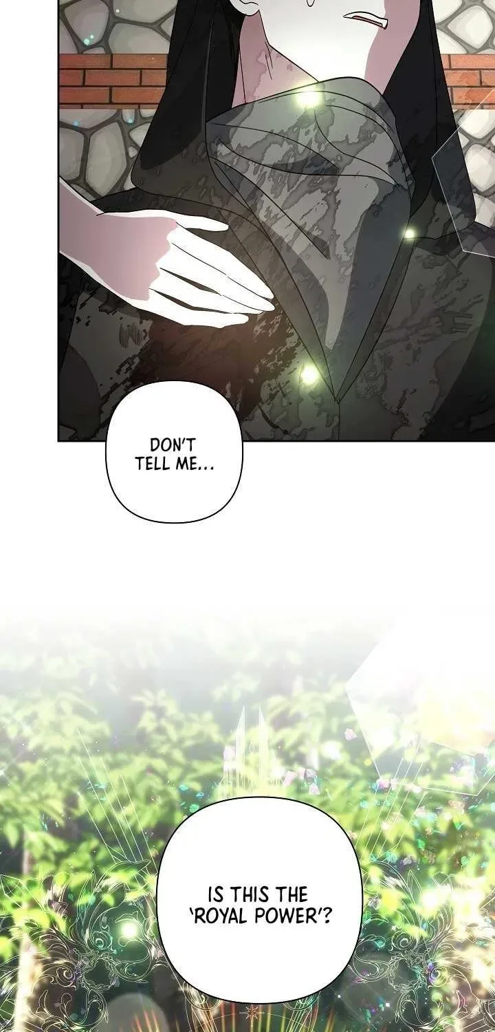 Undercover Princess Chapter 61 page 37