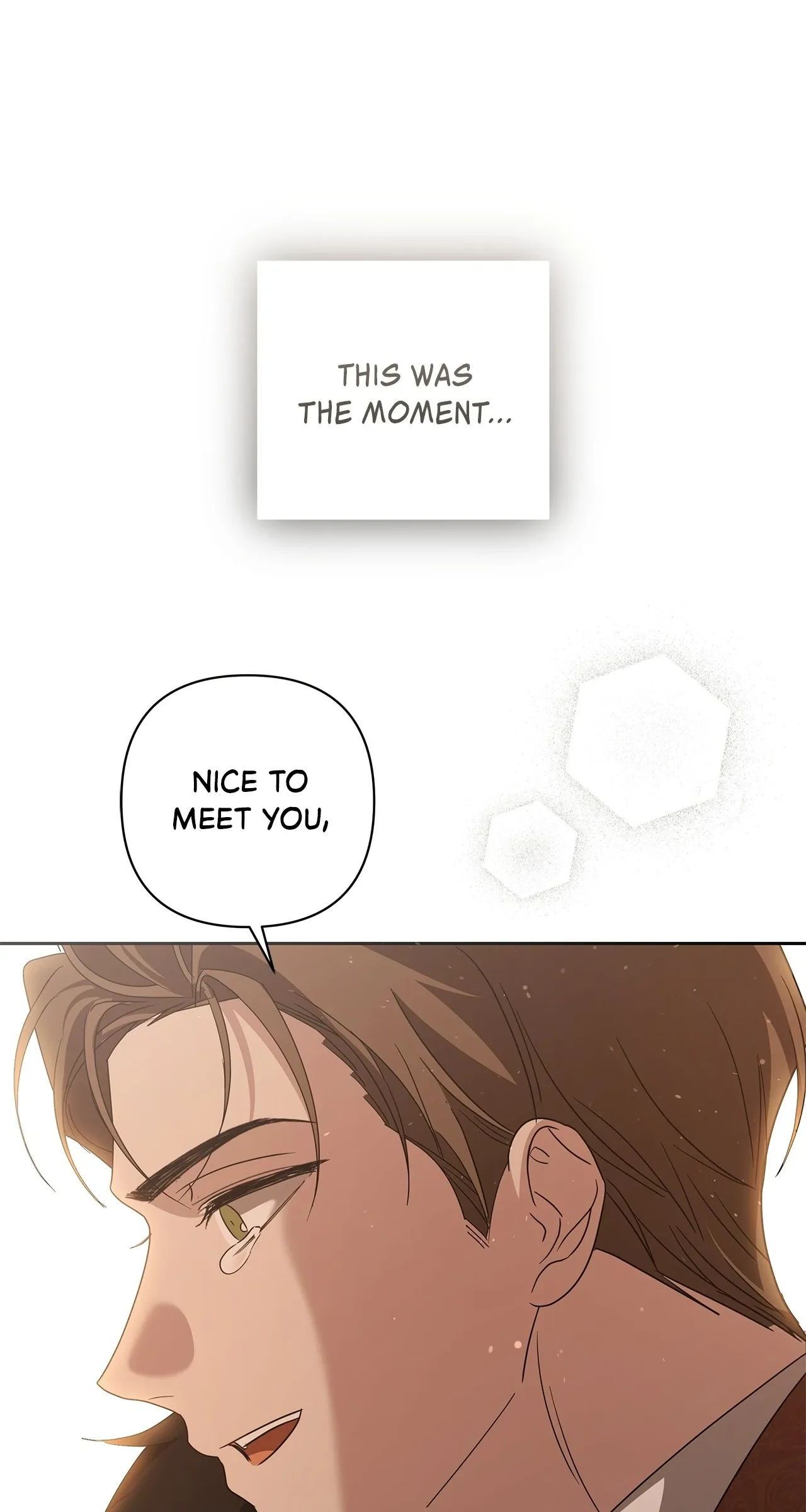 Undercover Princess Chapter 72 page 106
