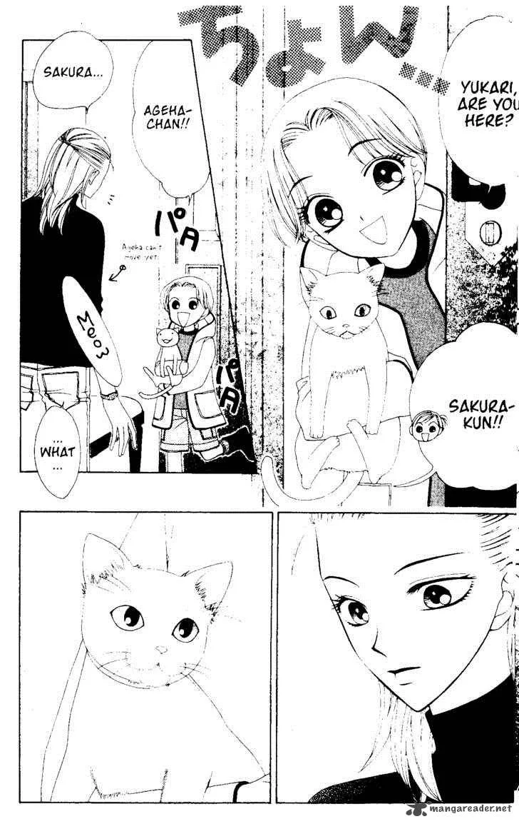 V.B. Rose Chapter 48 page 8