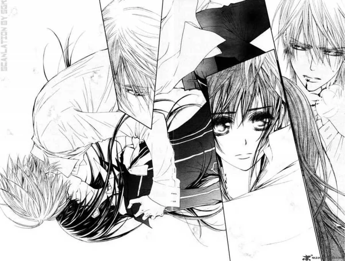 Vampire Knight Chapter 46 page 24