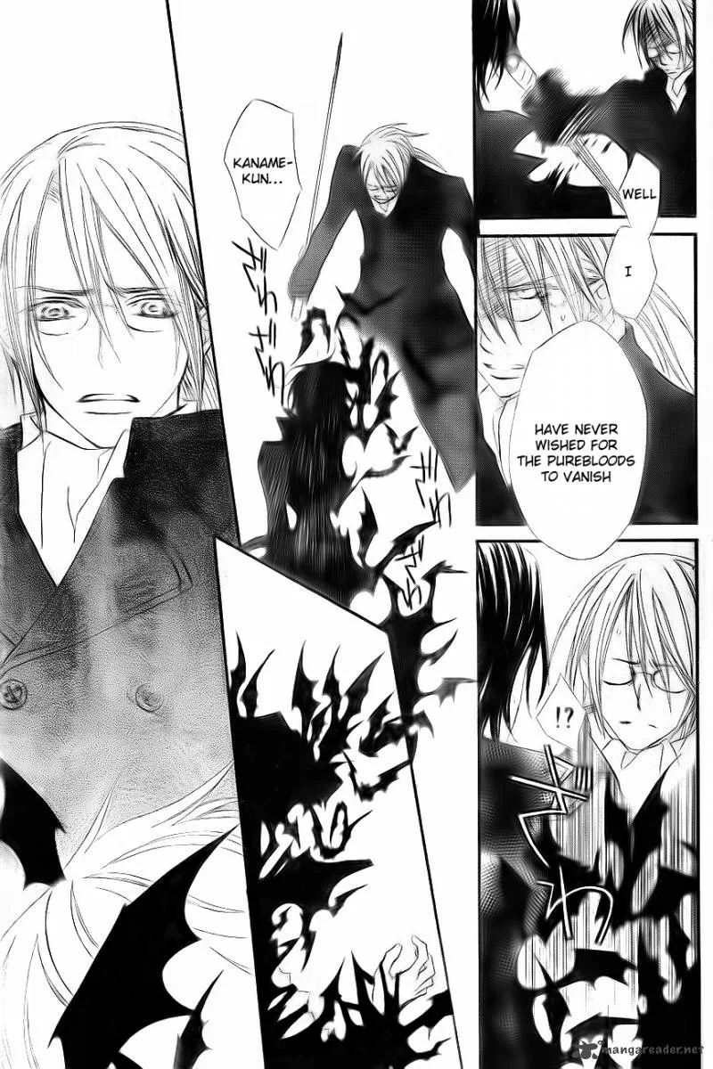 Vampire Knight Chapter 75 page 28