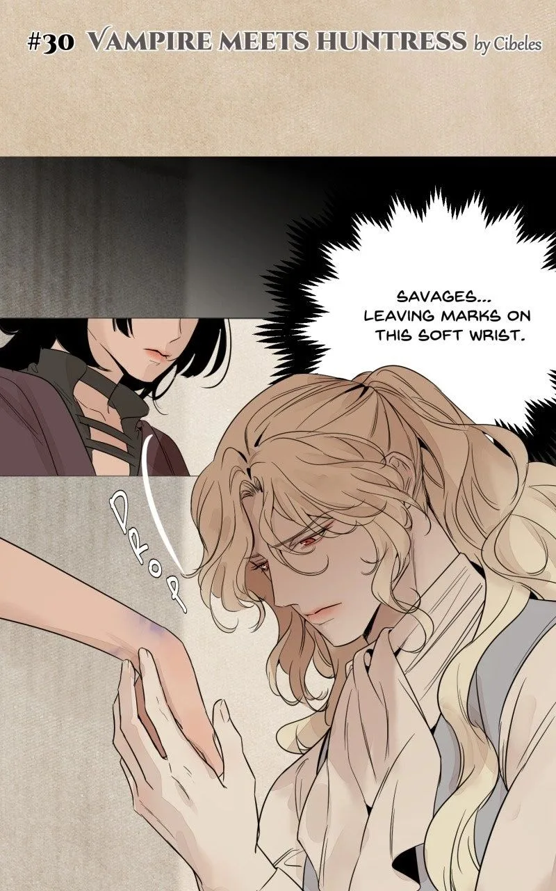 Vampire Meets Huntress Chapter 30 page 1
