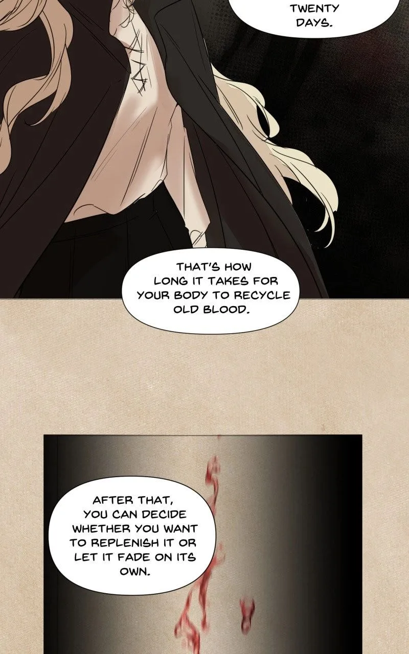Vampire Meets Huntress Chapter 31 page 11