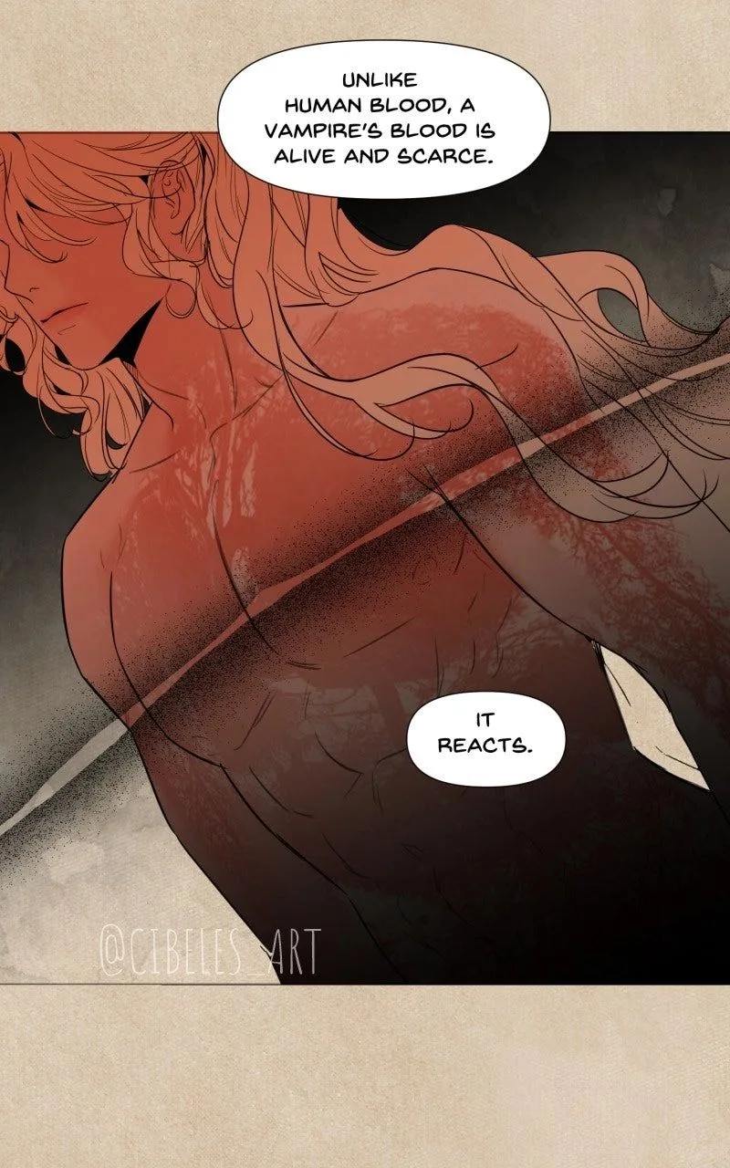 Vampire Meets Huntress Chapter 31 page 5