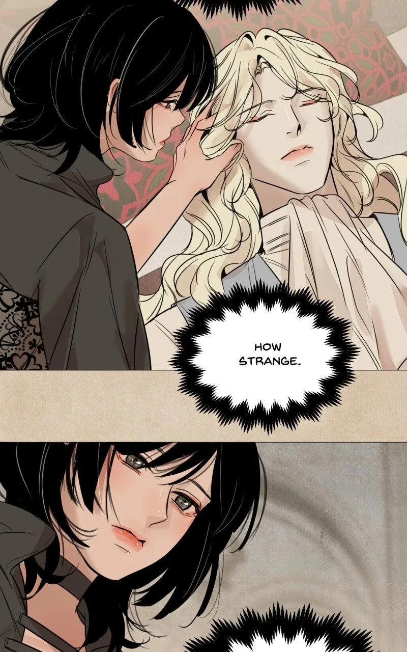 Vampire Meets Huntress Chapter 36 page 4