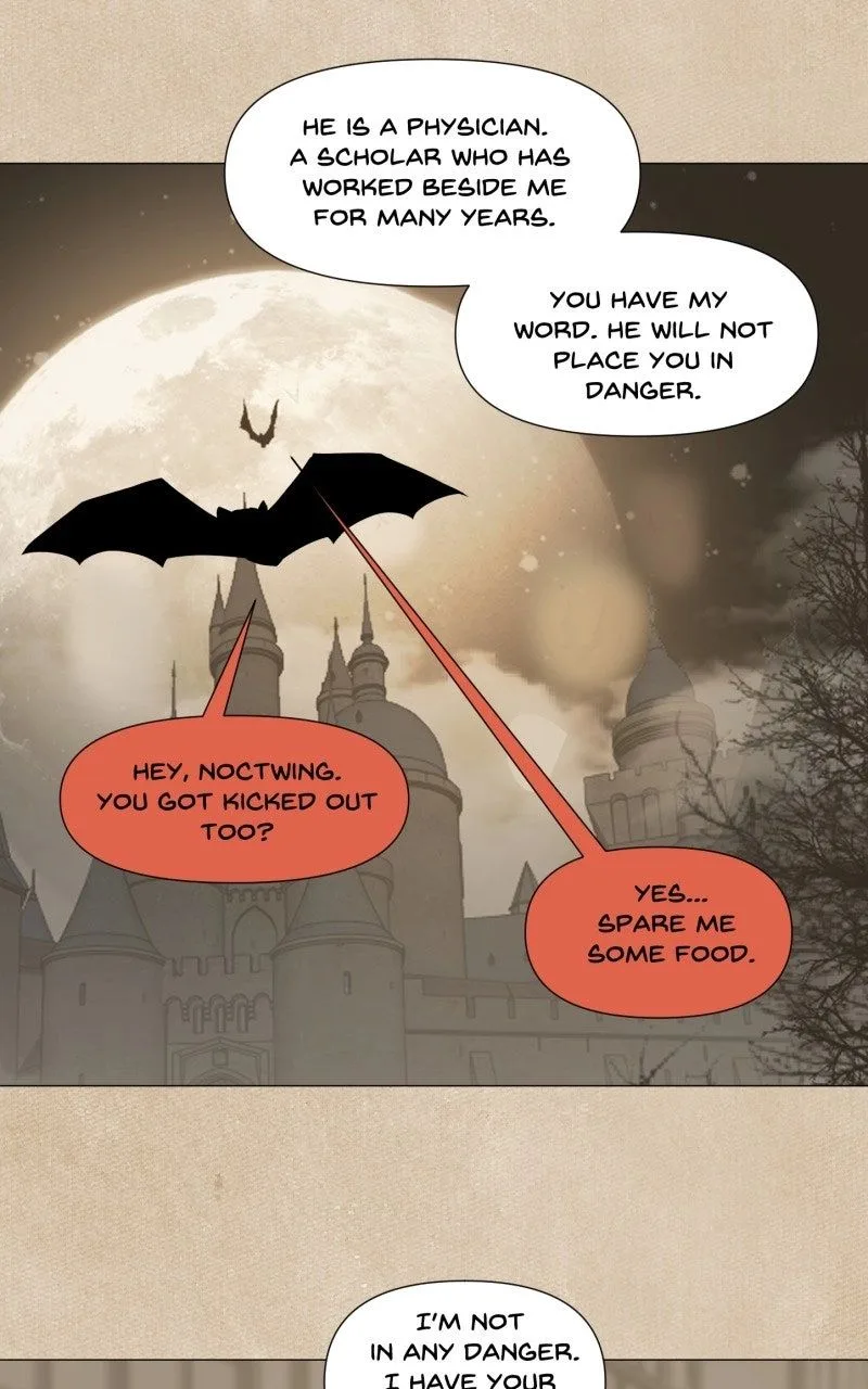 Vampire Meets Huntress Chapter 41 page 3