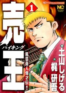 Viking cover