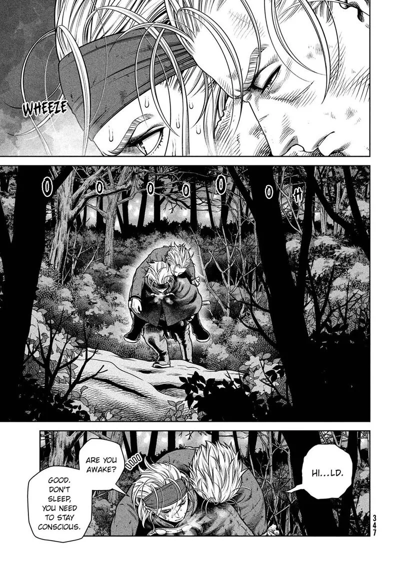 Vinland Saga Chapter 210 page 18