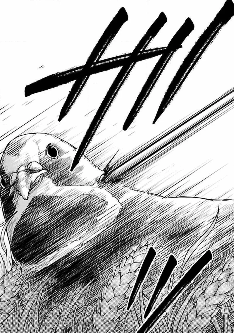 Ware ni Cheat o - Hazure Cheat no Shoukan Yuusha wa Isekai de Yukkuri Kurashitai Chapter 3 page 13