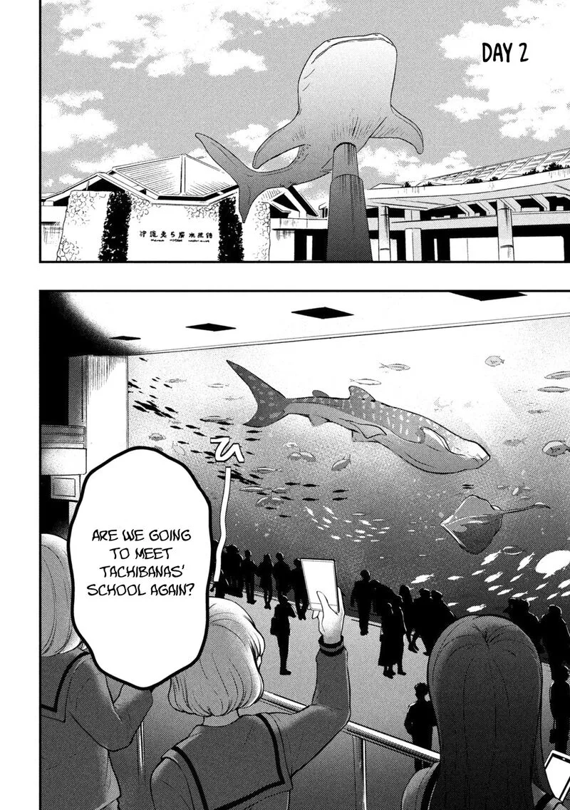 Watari-kun no xx ga Houkai Sunzen Chapter 69 page 35