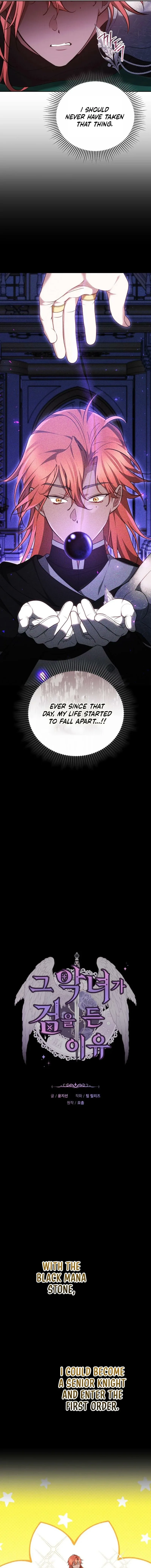 Why the Villainess Wields the Sword Chapter 41 page 5