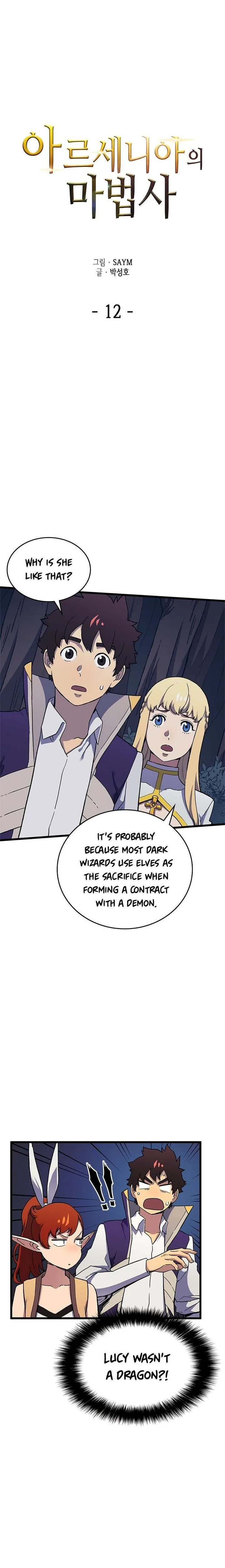 Wizard of Arsenia Chapter 12 page 3